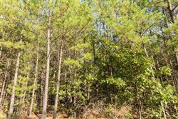 property photo for Stone Bridge Phase V Tract 383, 5.45 acres for sale in LatimerHaskell County, Oklahoma