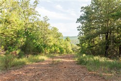 property photo for Stone Bridge Phase V Tract 383, 5.45 acres for sale in LatimerHaskell County, Oklahoma