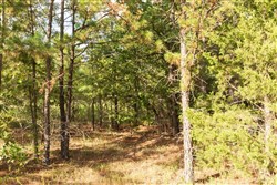 property photo for Stone Bridge Phase V Tract 384, 7.01 acres for sale in LatimerHaskell County, Oklahoma