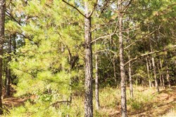 property photo for Stone Bridge Phase V Tract 384, 7.01 acres for sale in LatimerHaskell County, Oklahoma