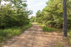 property photo for Stone Bridge Phase V Tract 384, 7.01 acres for sale in LatimerHaskell County, Oklahoma