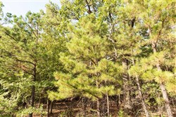 property photo for Stone Bridge Phase V Tract 384, 7.01 acres for sale in LatimerHaskell County, Oklahoma