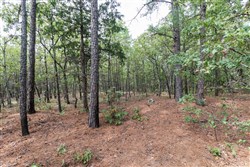 property photo for Stone Bridge Phase V Tract 385, 20.2 acres for sale in LatimerHaskell County, Oklahoma