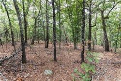 property photo for Stone Bridge Phase V Tract 385, 20.2 acres for sale in LatimerHaskell County, Oklahoma