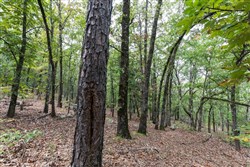 property photo for Stone Bridge Phase V Tract 385, 20.2 acres for sale in LatimerHaskell County, Oklahoma