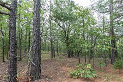 property photo for Stone Bridge Phase V Tract 385, 20.2 acres for sale in LatimerHaskell County, Oklahoma