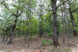 property photo for Stone Bridge Phase V Tract 386, 9.7 acres for sale in LatimerHaskell County, Oklahoma
