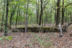 property photo for Stone Bridge Phase V Tract 386, 9.7 acres for sale in LatimerHaskell County, Oklahoma