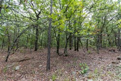 property photo for Stone Bridge Phase V Tract 386, 9.7 acres for sale in LatimerHaskell County, Oklahoma