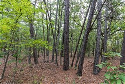 property photo for Stone Bridge Phase V Tract 386, 9.7 acres for sale in LatimerHaskell County, Oklahoma