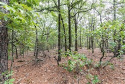 property photo for Stone Bridge Phase V Tract 386, 9.7 acres for sale in LatimerHaskell County, Oklahoma