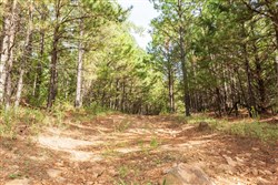 property photo for Stone Bridge Phase V Tract 387, 14.39 acres for sale in LatimerHaskell County, Oklahoma