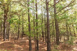property photo for Stone Bridge Phase V Tract 387, 14.39 acres for sale in LatimerHaskell County, Oklahoma