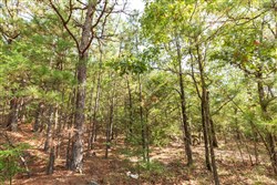 property photo for Stone Bridge Phase V Tract 387, 14.39 acres for sale in LatimerHaskell County, Oklahoma
