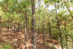 property photo for Stone Bridge Phase V Tract 387, 14.39 acres for sale in LatimerHaskell County, Oklahoma