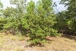 property photo for Stone Bridge Phase V Tract 387, 14.39 acres for sale in LatimerHaskell County, Oklahoma