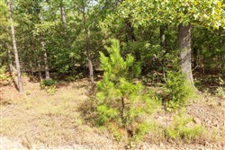 property photo for Stone Bridge Phase V Tract 387, 14.39 acres for sale in LatimerHaskell County, Oklahoma