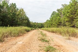 property photo for Stone Bridge Phase V Tract 388, 7.23 acres for sale in LatimerHaskell County, Oklahoma