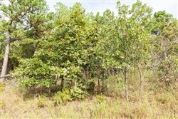 property photo for Stone Bridge Phase V Tract 388, 7.23 acres for sale in LatimerHaskell County, Oklahoma