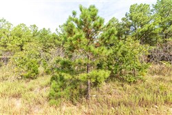 property photo for Stone Bridge Phase V Tract 388, 7.23 acres for sale in LatimerHaskell County, Oklahoma