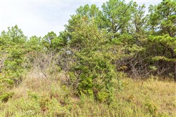 property photo for Stone Bridge Phase V Tract 388, 7.23 acres for sale in LatimerHaskell County, Oklahoma
