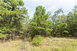 property photo for Stone Bridge Phase V Tract 388, 7.23 acres for sale in LatimerHaskell County, Oklahoma