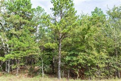 property photo for Stone Bridge Phase V Tract 389, 9.33 acres for sale in LatimerHaskell County, Oklahoma