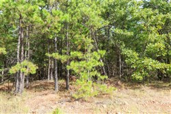 property photo for Stone Bridge Phase V Tract 389, 9.33 acres for sale in LatimerHaskell County, Oklahoma