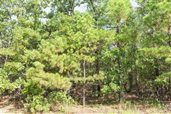 property photo for Stone Bridge Phase V Tract 389, 9.33 acres for sale in LatimerHaskell County, Oklahoma