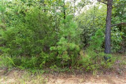 property photo for Stone Bridge Phase V Tract 390, 7.37 acres for sale in LatimerHaskell County, Oklahoma