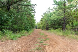 property photo for Stone Bridge Phase V Tract 390, 7.37 acres for sale in LatimerHaskell County, Oklahoma