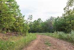property photo for Stone Bridge Phase V Tract 391, 8.63 acres for sale in LatimerHaskell County, Oklahoma