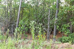 property photo for Stone Bridge Phase V Tract 391, 8.63 acres for sale in LatimerHaskell County, Oklahoma