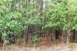 property photo for Stone Bridge Phase V Tract 391, 8.63 acres for sale in LatimerHaskell County, Oklahoma