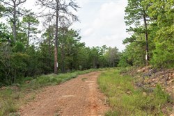 property photo for Stone Bridge Phase V Tract 392, 6.05 acres for sale in LatimerHaskell County, Oklahoma