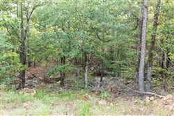 property photo for Stone Bridge Phase V Tract 392, 6.05 acres for sale in LatimerHaskell County, Oklahoma
