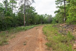 property photo for Stone Bridge Phase V Tract 392, 6.05 acres for sale in LatimerHaskell County, Oklahoma