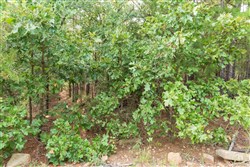 property photo for Stone Bridge Phase V Tract 393, 7.1 acres for sale in LatimerHaskell County, Oklahoma