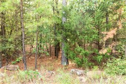 property photo for Stone Bridge Phase V Tract 393, 7.1 acres for sale in LatimerHaskell County, Oklahoma