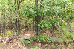 property photo for Stone Bridge Phase V Tract 393, 7.1 acres for sale in LatimerHaskell County, Oklahoma
