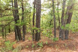 property photo for Stone Bridge Phase V Tract 394, 8.23 acres for sale in LatimerHaskell County, Oklahoma