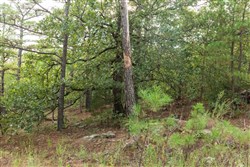 property photo for Stone Bridge Phase V Tract 394, 8.23 acres for sale in LatimerHaskell County, Oklahoma