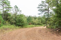 property photo for Stone Bridge Phase V Tract 395, 11.16 acres for sale in LatimerHaskell County, Oklahoma
