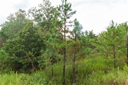 property photo for Stone Bridge Phase V Tract 395, 11.16 acres for sale in LatimerHaskell County, Oklahoma