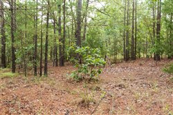 property photo for Stone Bridge Phase V Tract 395, 11.16 acres for sale in LatimerHaskell County, Oklahoma