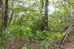 property photo for Stone Bridge Phase V Tract 395, 11.16 acres for sale in LatimerHaskell County, Oklahoma