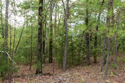property photo for Stone Bridge Phase V Tract 396, 7.17 acres for sale in LatimerHaskell County, Oklahoma