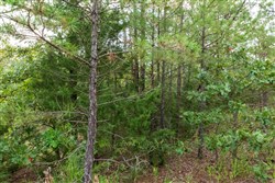 property photo for Stone Bridge Phase V Tract 396, 7.17 acres for sale in LatimerHaskell County, Oklahoma