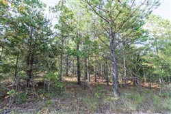 property photo for Stone Bridge Phase V Tract 397, 11.19 acres for sale in LatimerHaskell County, Oklahoma
