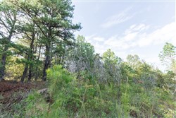 property photo for Stone Bridge Phase V Tract 397, 11.19 acres for sale in LatimerHaskell County, Oklahoma